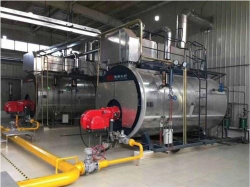Паровой котел на природном газе
